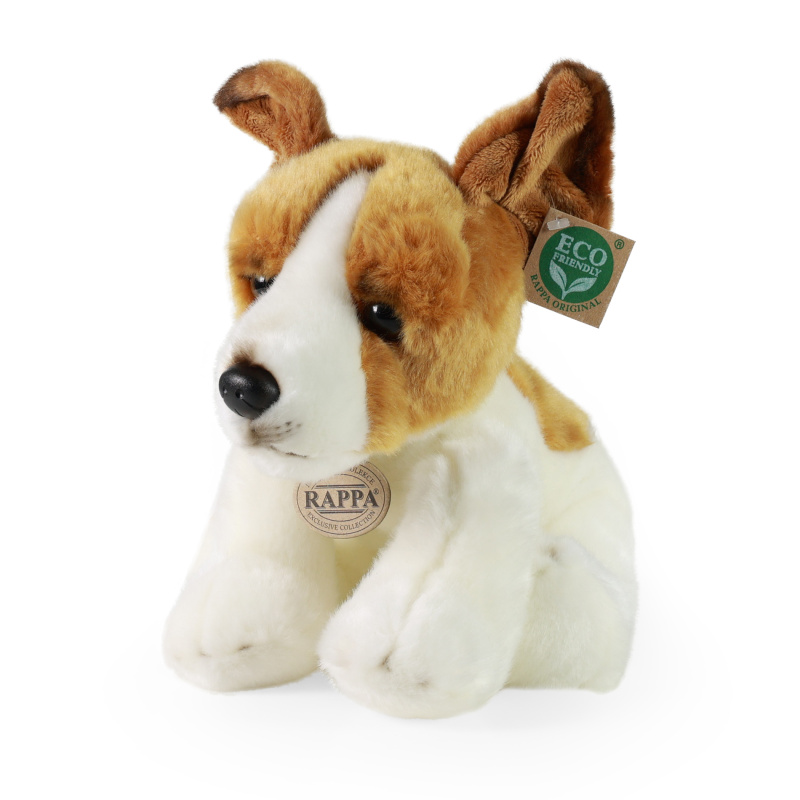 pes jack russell teriér sedící 30 cm