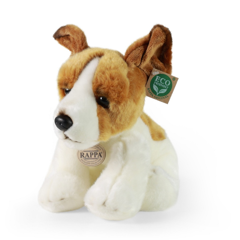 pes jack russell teriér sedící 30 cm
