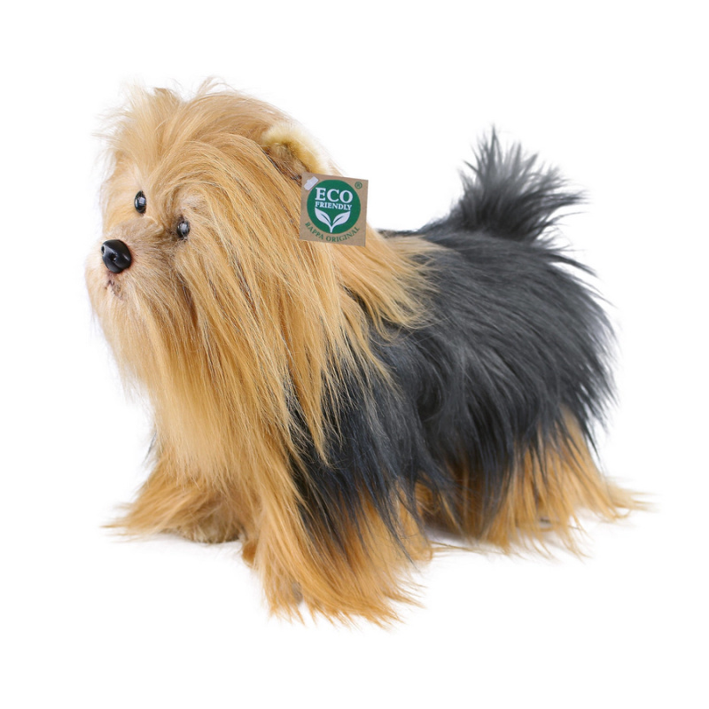 jorkšír stojící 30 cm