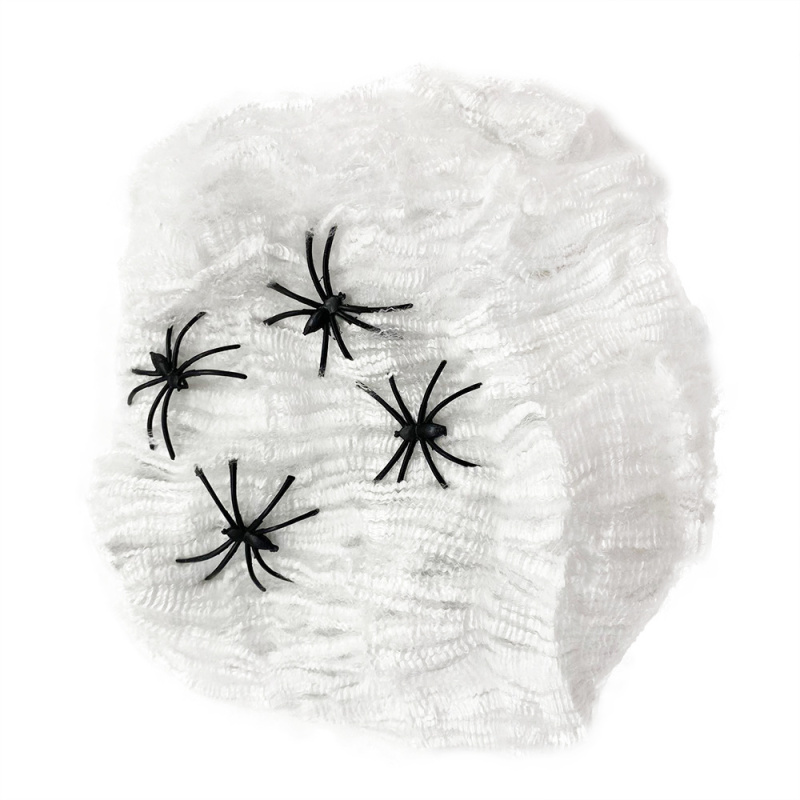 RAPPA Pavoučí síť s pavouky