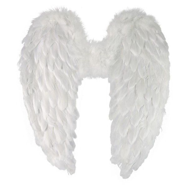 Andělská křídla s peřím
