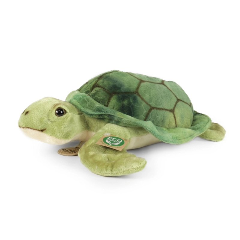 Rappa želva 20 cm