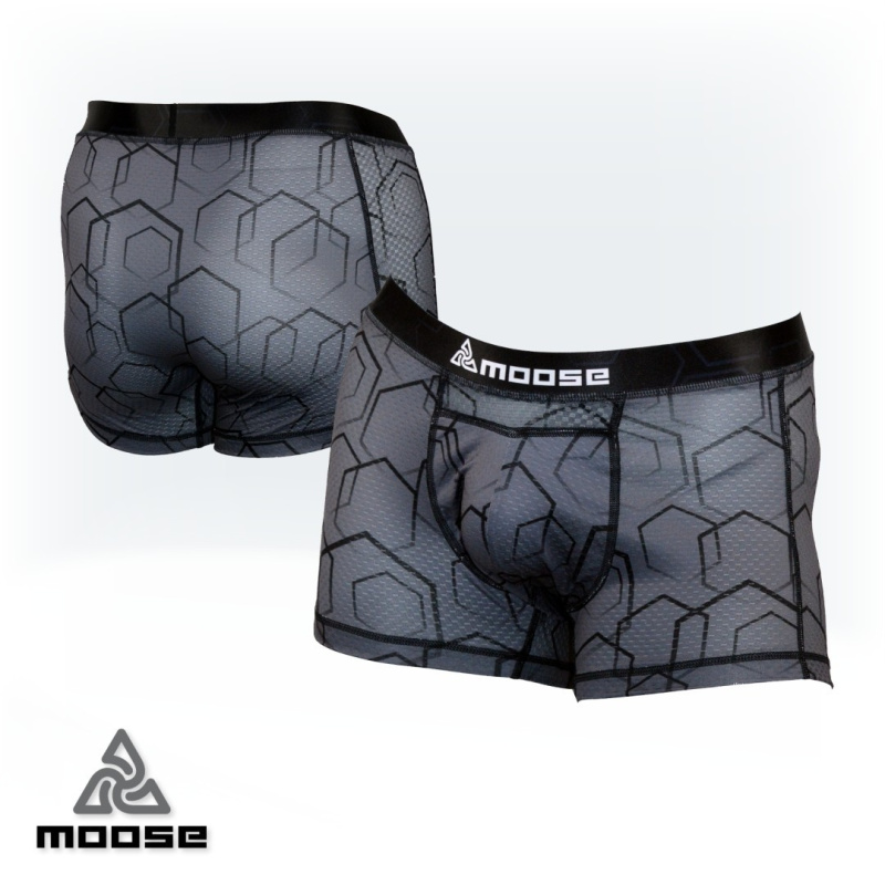 STELLAR BOXER pánské funkční boxerky Moose šedá XL