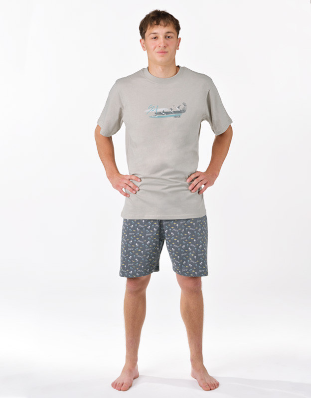 Pánské pyžamo Gino vícebarevné (79190-LxGDxG) 3XL