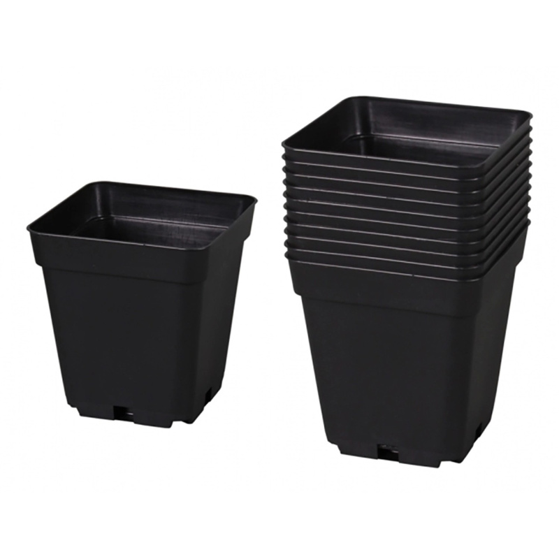 Kontejner pro pěstování 13 x 13 x 13,5 cm