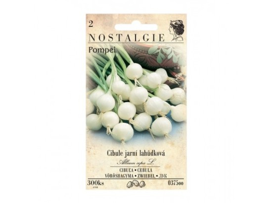 NOSTALGIE Cibule jarní lahůdková POMPEI bílá