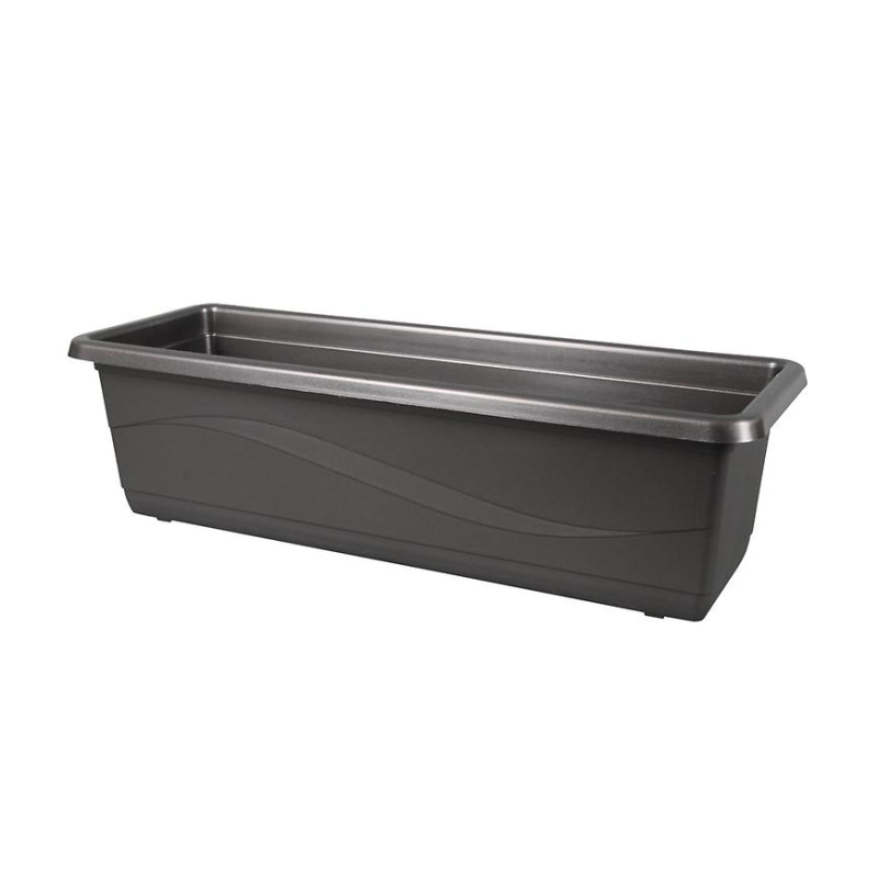 Truhlík lobelia š50cm; v14cm - antracit
