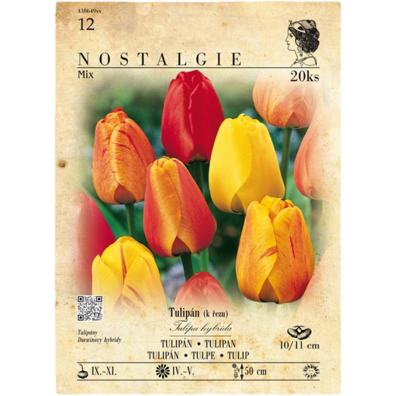 Nostalgie Tulipány mix barev, cibule 20 ks