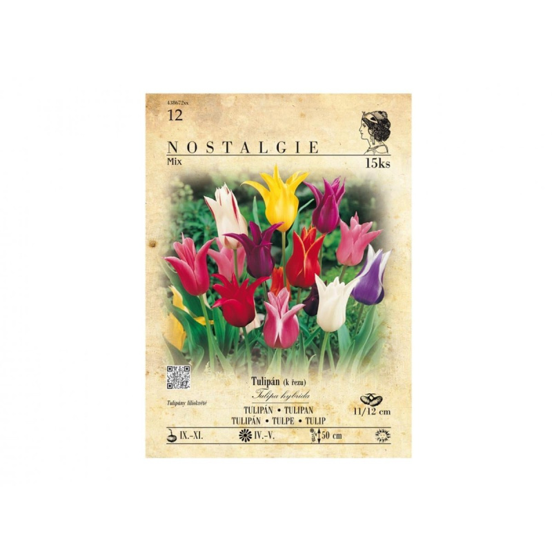 Nostalgie Tulipán liliokvětý mix barev, cibule 15 ks