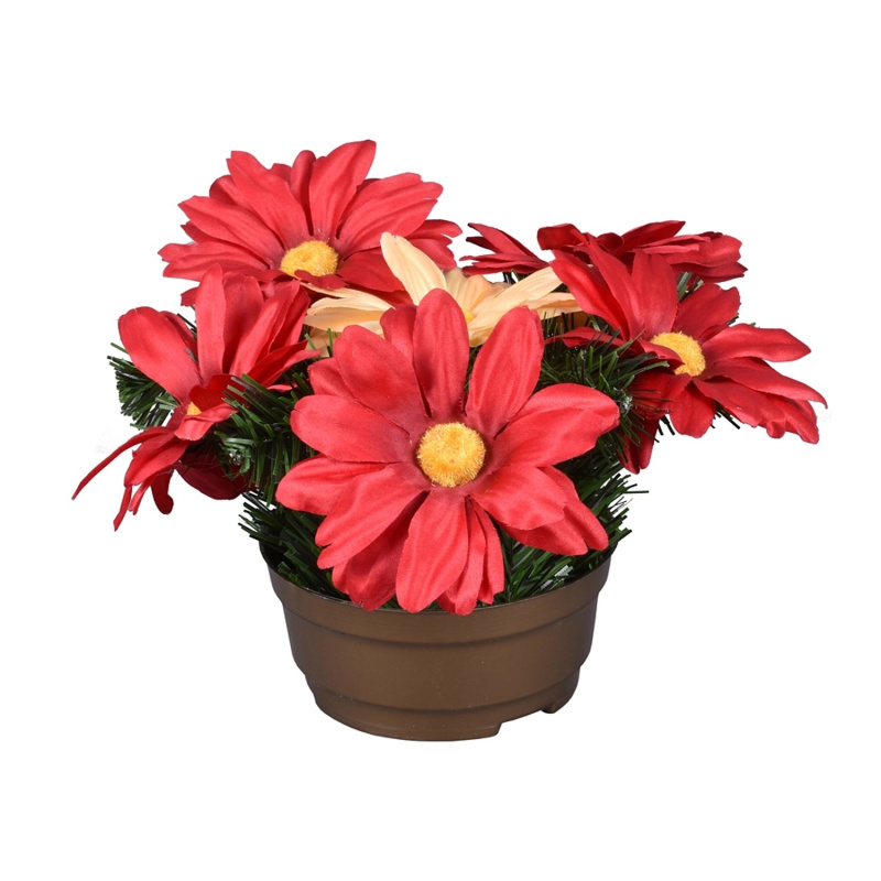 Nohel Garden Květina gerbera léto aranžmá v misce, mix, 25 cm