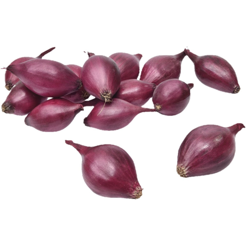 Cibule sazečka AKADO ozimá 8-21 mm 500g