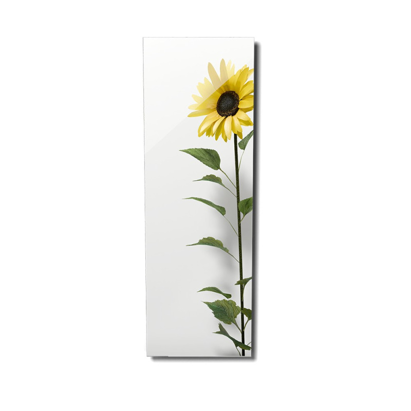 FENIX 11V5437351 ECOSUN 500 GS-Wifi Mirror