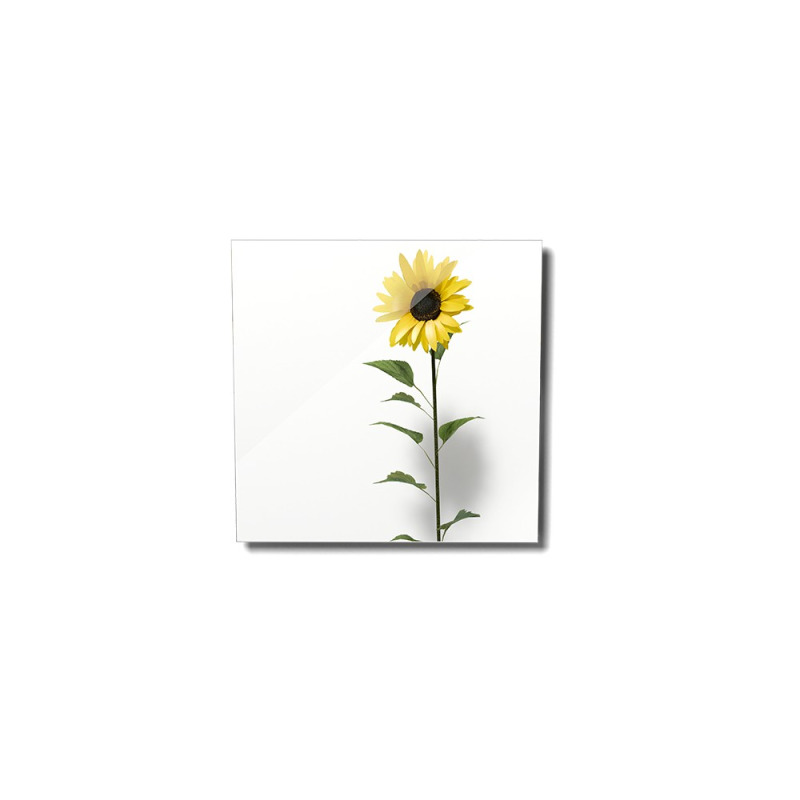 FENIX 11V5437341 ECOSUN 300 GS-Wifi Mirror