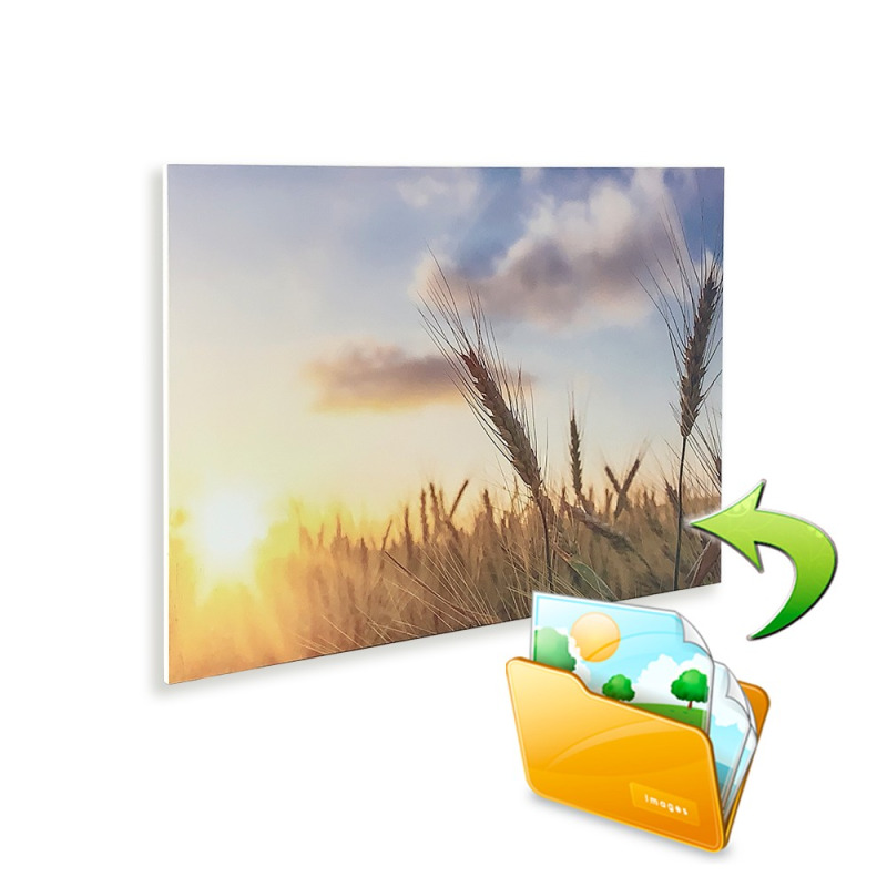 FENIX 5437477 Ecosun 850 Basic s potiskem Panel Ecosun Basic 850 W s potiskem