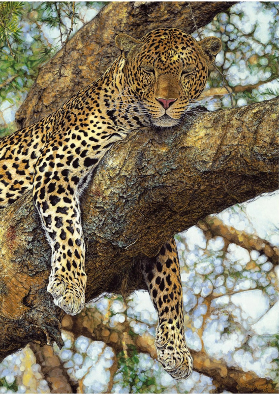 Djeco Leopard 97 x 33 cm 1000 dílků