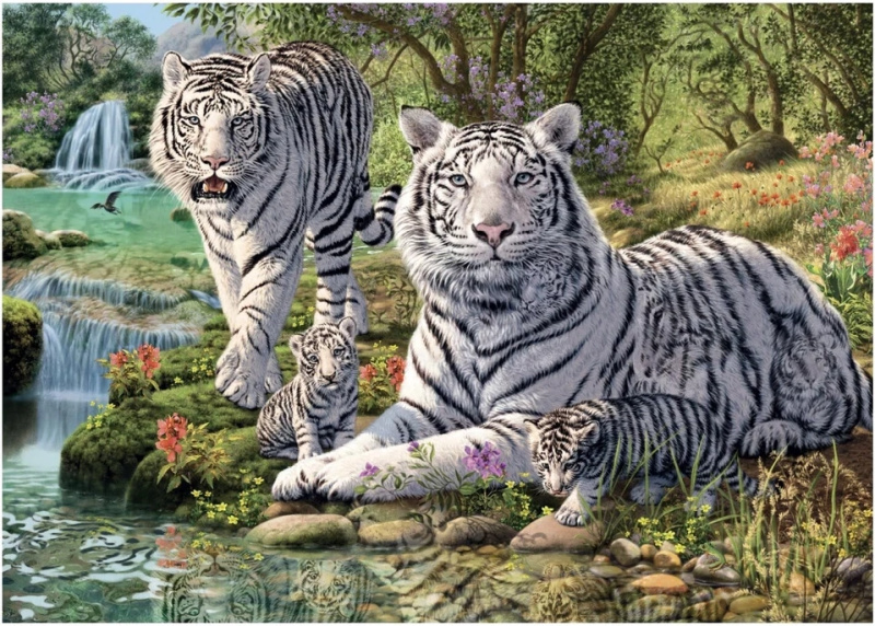 Puzzle Bílí Tygři 1000 Dílků – Tajná Kolekce od Dino