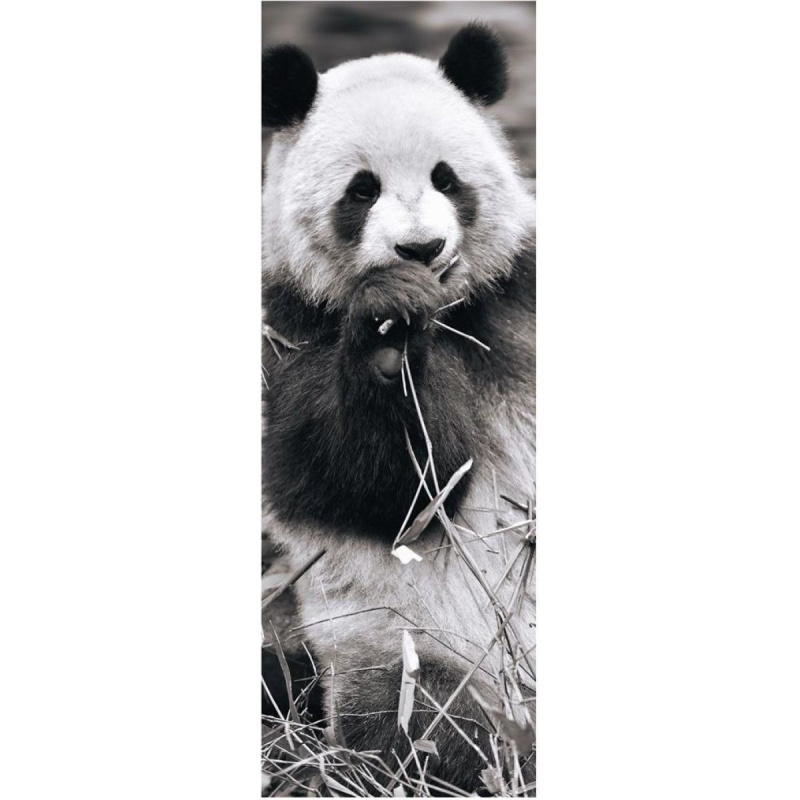 Dino PANDA v trávě panoramic 1000 dílků