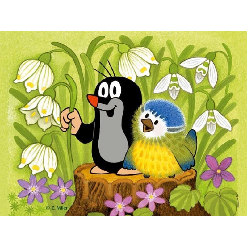 Dino krtek a ptáček kubus, 12 kostek