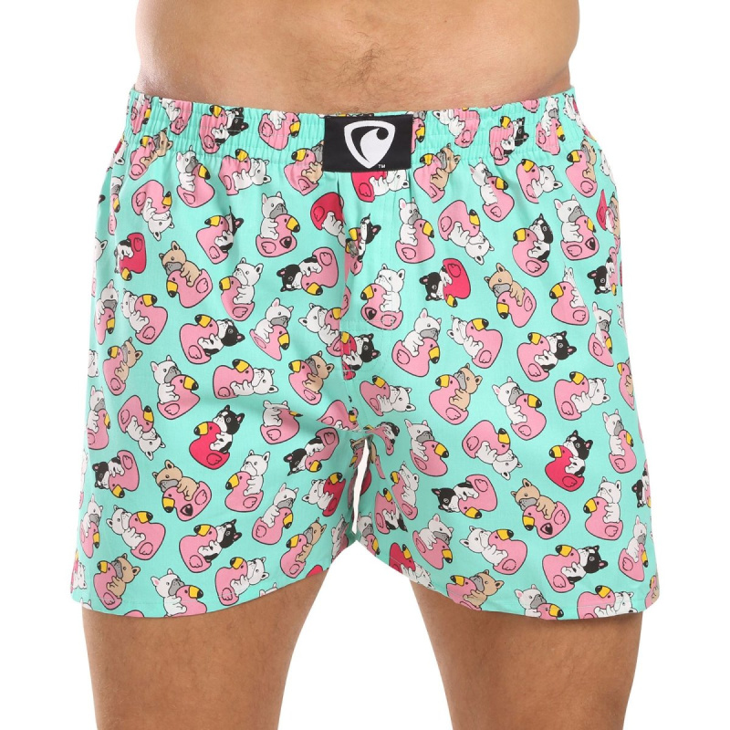 Pánské trenky Represent exclusive Ali Bulldog Bathing (R4M-BOX-0611) M, trenýrky