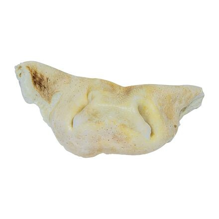 Hovězí tlama bílá (popcorn)  1 ks