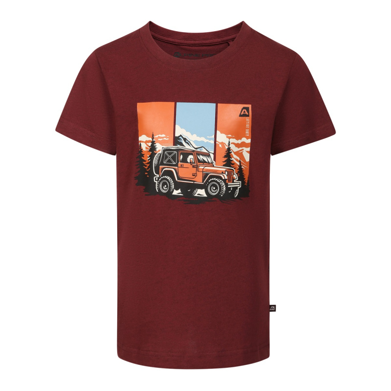 Dětské rychleschnoucí triko alpine pro nogero vínová 128-134