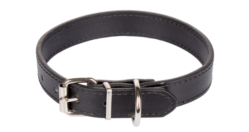 Dog Leash obojek pro psy černá, M