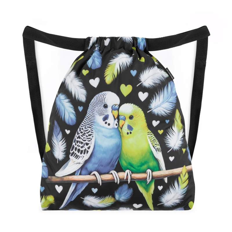 Bagmaster SÁČEK BETA 25 A školní na přezůvky / tělocvik – papoušek BagMaster