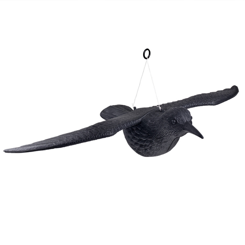 Maketa letícího havrana na provázku