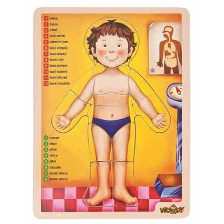 Woody Puzzle - lidské tělo