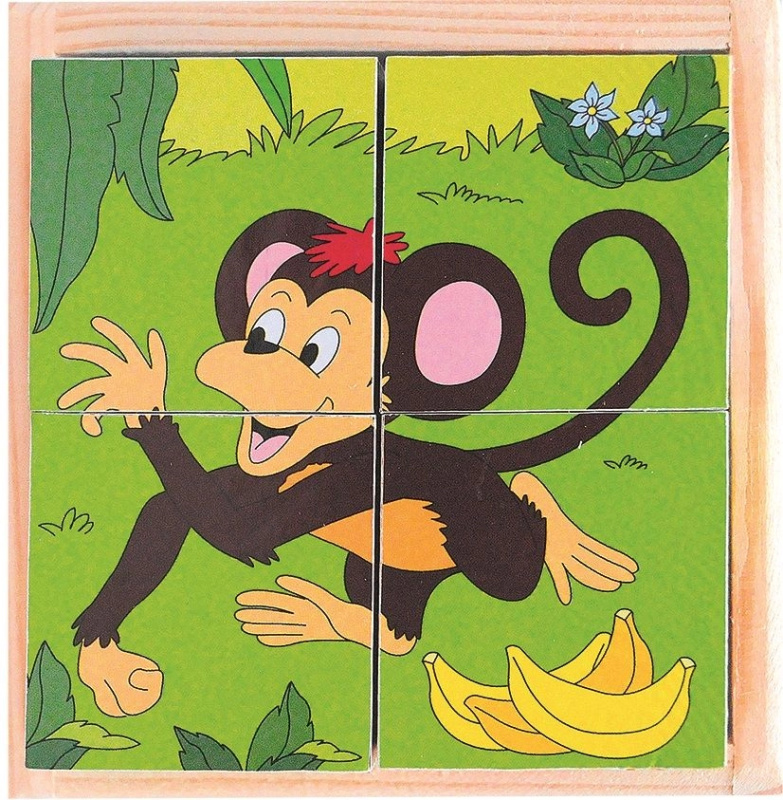 Woody Kostky obrázkové 4 ks Safari