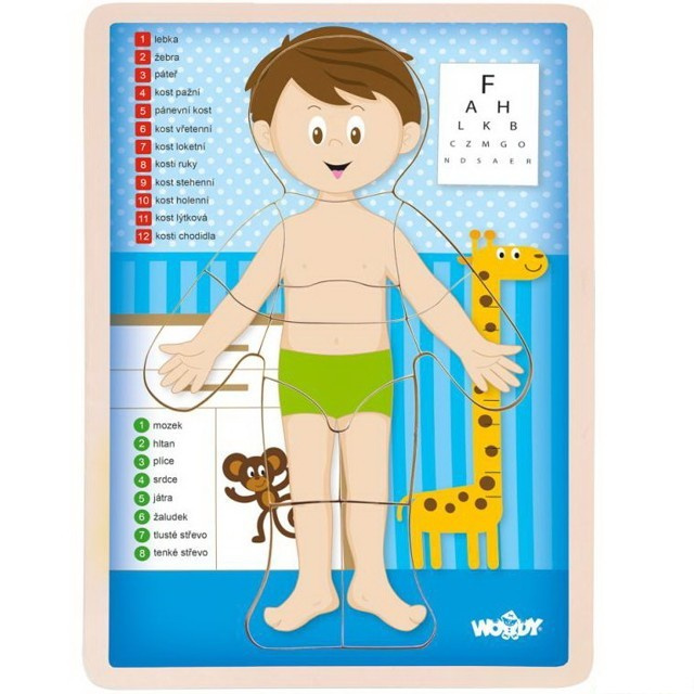 WOODY Oboustranné puzzle Lidské tělo - Chlapec