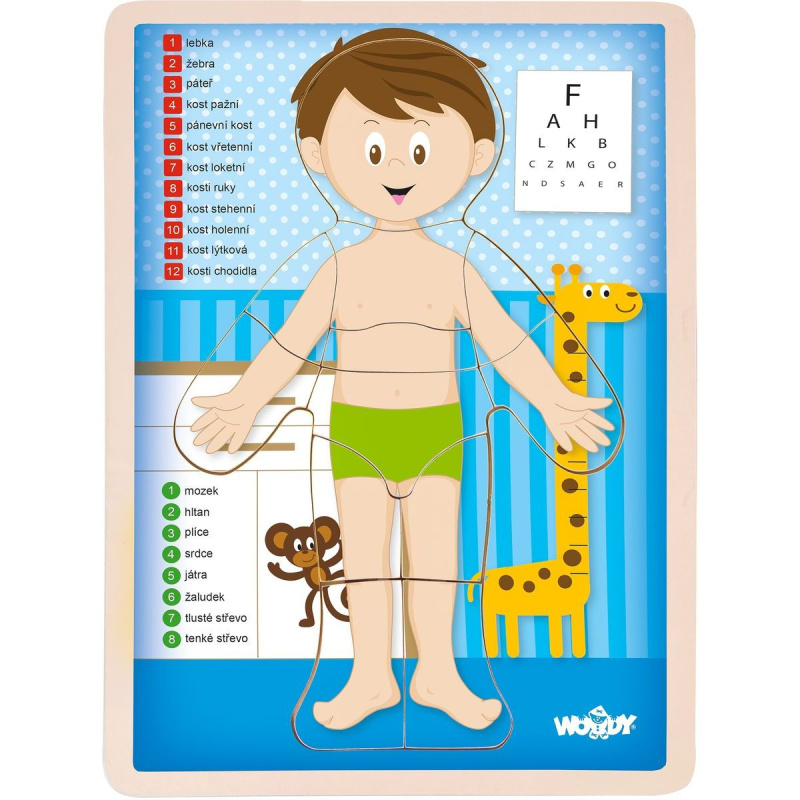 WOODY Oboustranné puzzle Lidské tělo - Chlapec