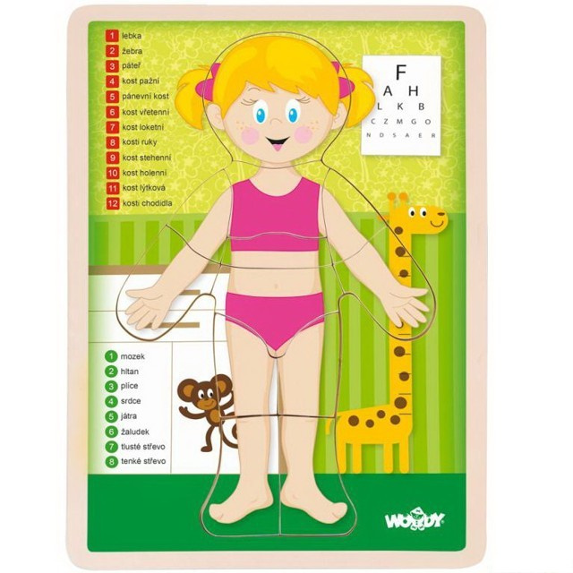 WOODY Oboustranné puzzle Lidské tělo - Dívka