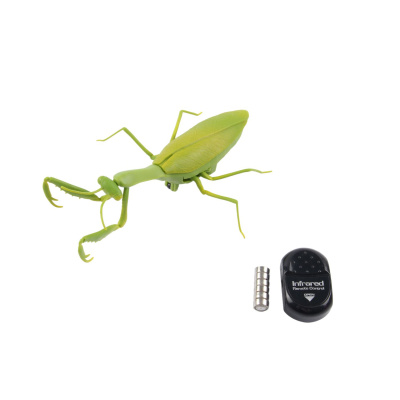 RC Kudlanka na dálkové ovládání