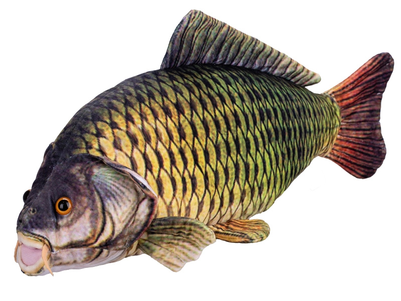 Plyšový kapr 52 cm