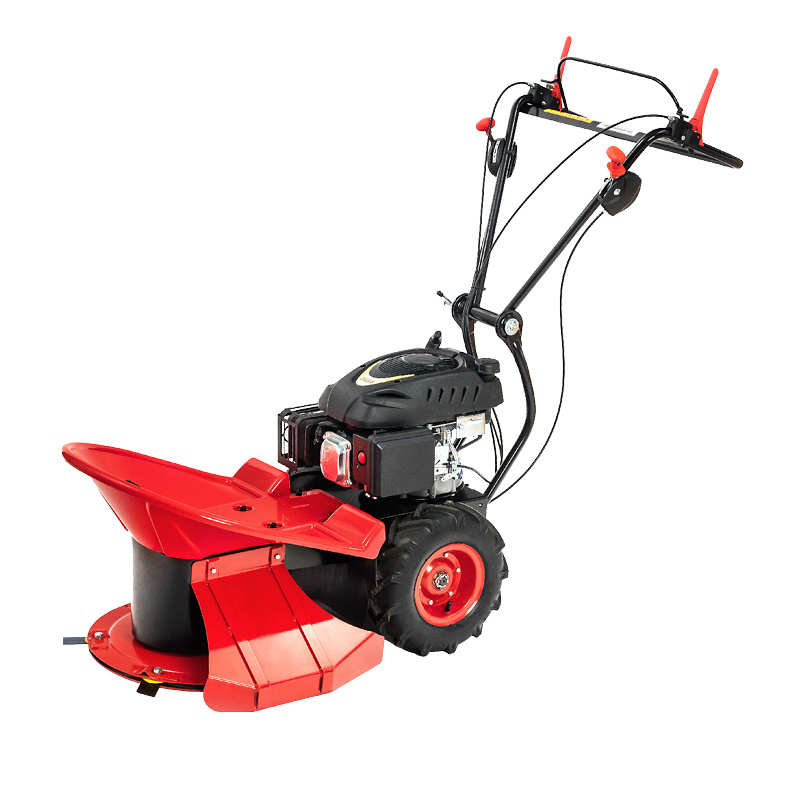 Motor Jikov Green Stella SLV B&S 950 - bubnová sekačka