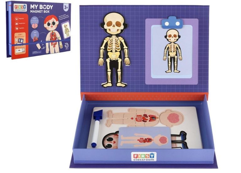 Magnetická skládačka lidského těla v krabičce