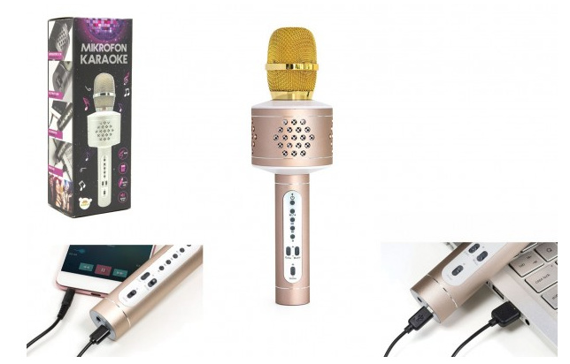 Teddies Mikrofon karaoke Bluetooth zlatý na baterie s USB kabelem