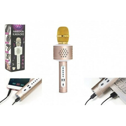 Teddies Mikrofon karaoke Bluetooth zlatý na baterie s USB kabelem