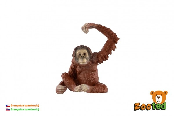 ZOOted Orangutan sumaterský zooted plast 8cm