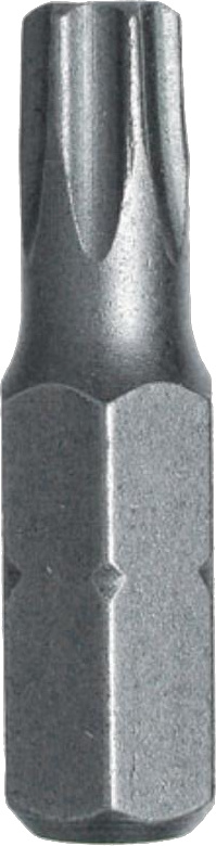 Bit Stahlberg T20 2 ks