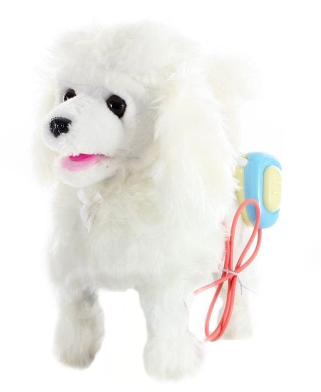 Chodící pejsek Pudl