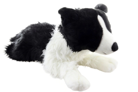 Plyšový pes border kolie 70 cm