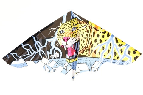 Létací drak pro děti 115 × 72 cm