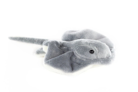 Plyšový rejnok střední