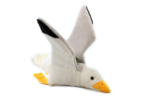 racek
