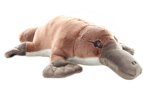 Plyšový ptakopysk 27 cm