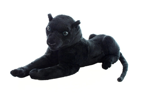 Puma 57 cm