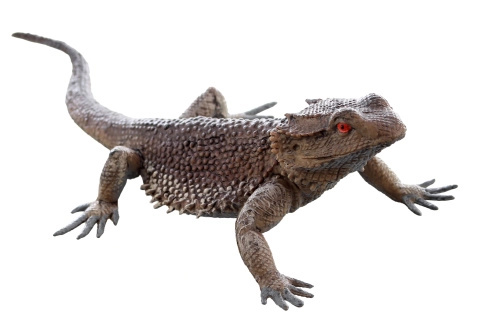 Plastová ještěrka – realistická figurka pro děti