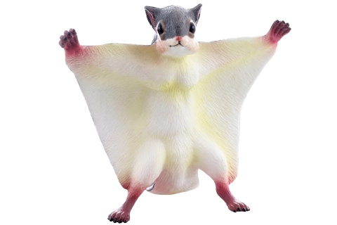 Plastová poletucha – létající hračka pro děti